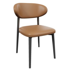Nordic  Metal Dining Chair YJCM020