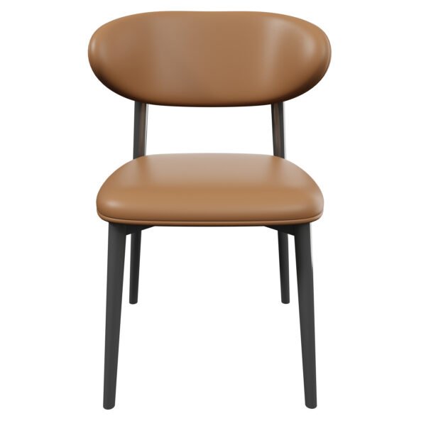 Nordic  Metal Dining Chair YJCM020 - 图片 2