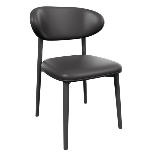 Nordic  Metal Dining Chair YJCM020 - 图片 7