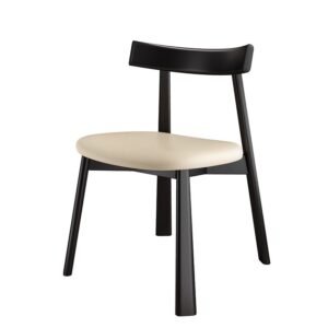 Black Wood Dining Chair YJCW010